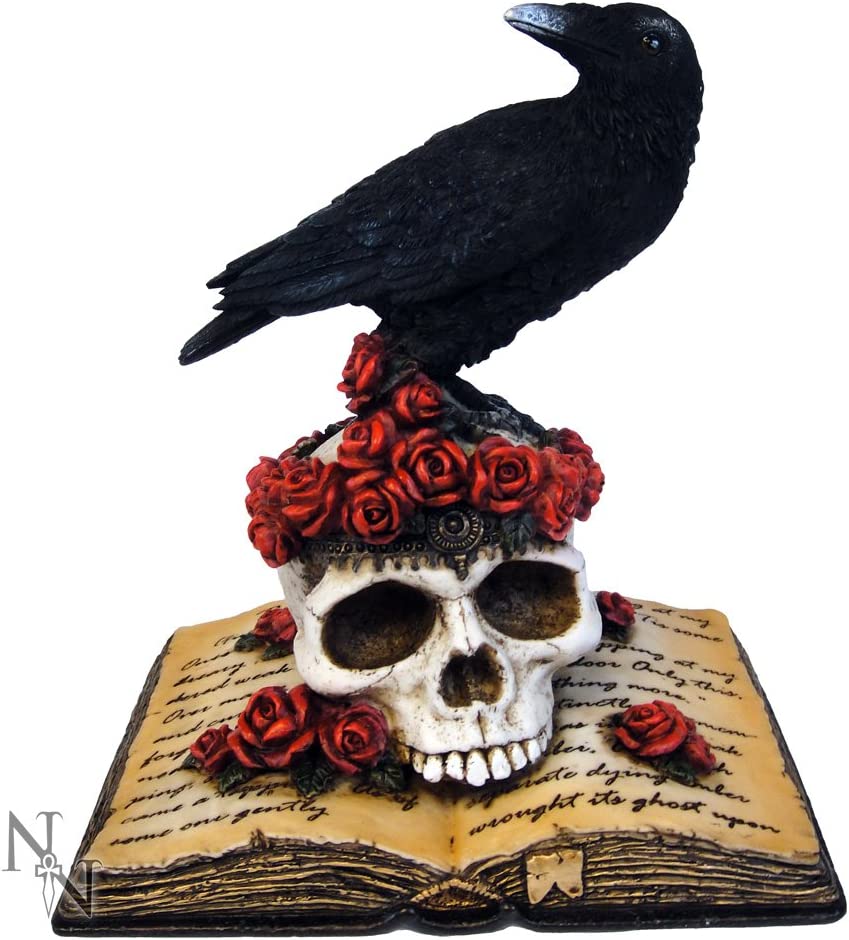 Nemesis Now Heartaches Reflection - Raven Skull Book Figurine in Black Resin