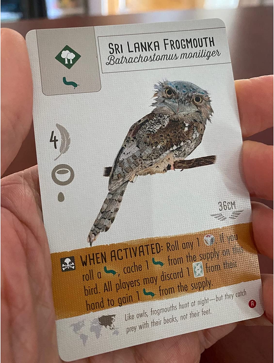 Stonemaier Games Wingspan: Asia Standalone Expansion