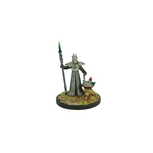 Battlefront Miniature Temple of Elemental Evil Marlos Urnrayle and Priest Game (GF971039)