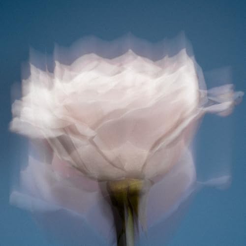 The Lab Co. - Non-Bio Concentrated Laundry Detergent | 1L, 40 Loads 19