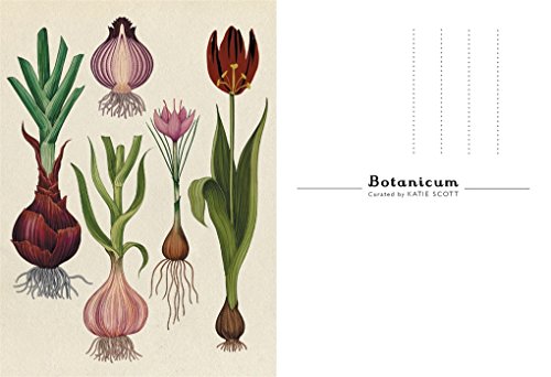 Botanicum Postcards: Welcome to the Museum 2