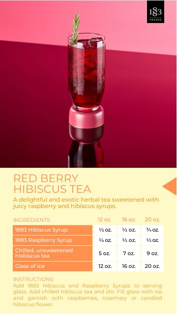 1883 MAISON ROUTIN Premium Raspberry Syrup for Cocktails & Mocktails | 1L PET Bottle 3