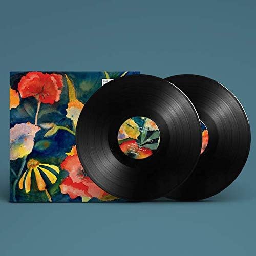 Big Thief - Songs and Instrumentals [Audio CD]