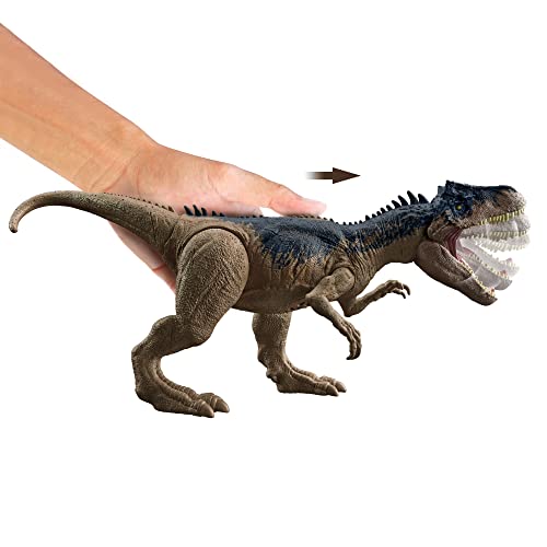 Jurassic World Roar Attack Allosaurus Dinosaurier Actionfigur Spielzeug für 4-Jährige &amp;