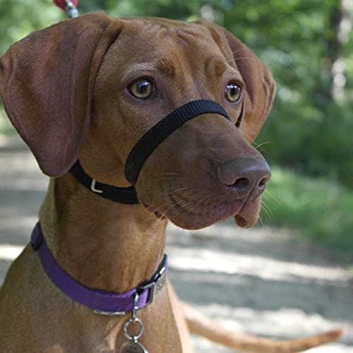 Canny Collar - The Collar For Dog Training And Walking, Head Collar For Dog Walking - Black (Size 4) (02-1005)