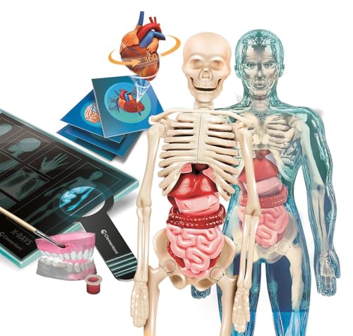 Clementoni Super Anatomy Augmented Reality Science Kit - Build Skeleton Model | Ages 8+