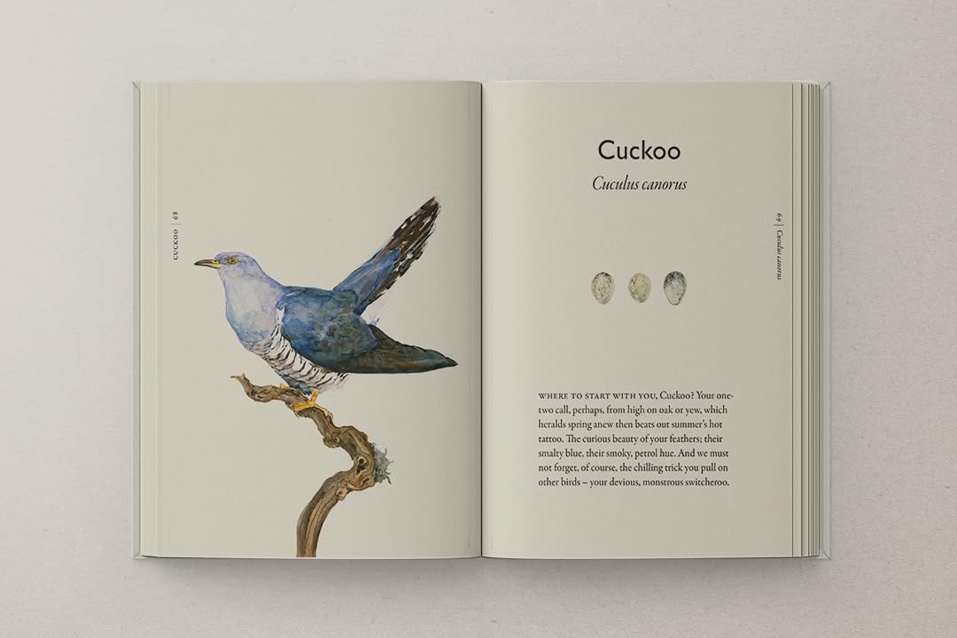 Morris & Macfarlane - The Book of Birds | Hardcover Field Guide to Declining British Bird Species
