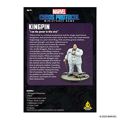 Marvel-Krisenprotokoll: Kingpin