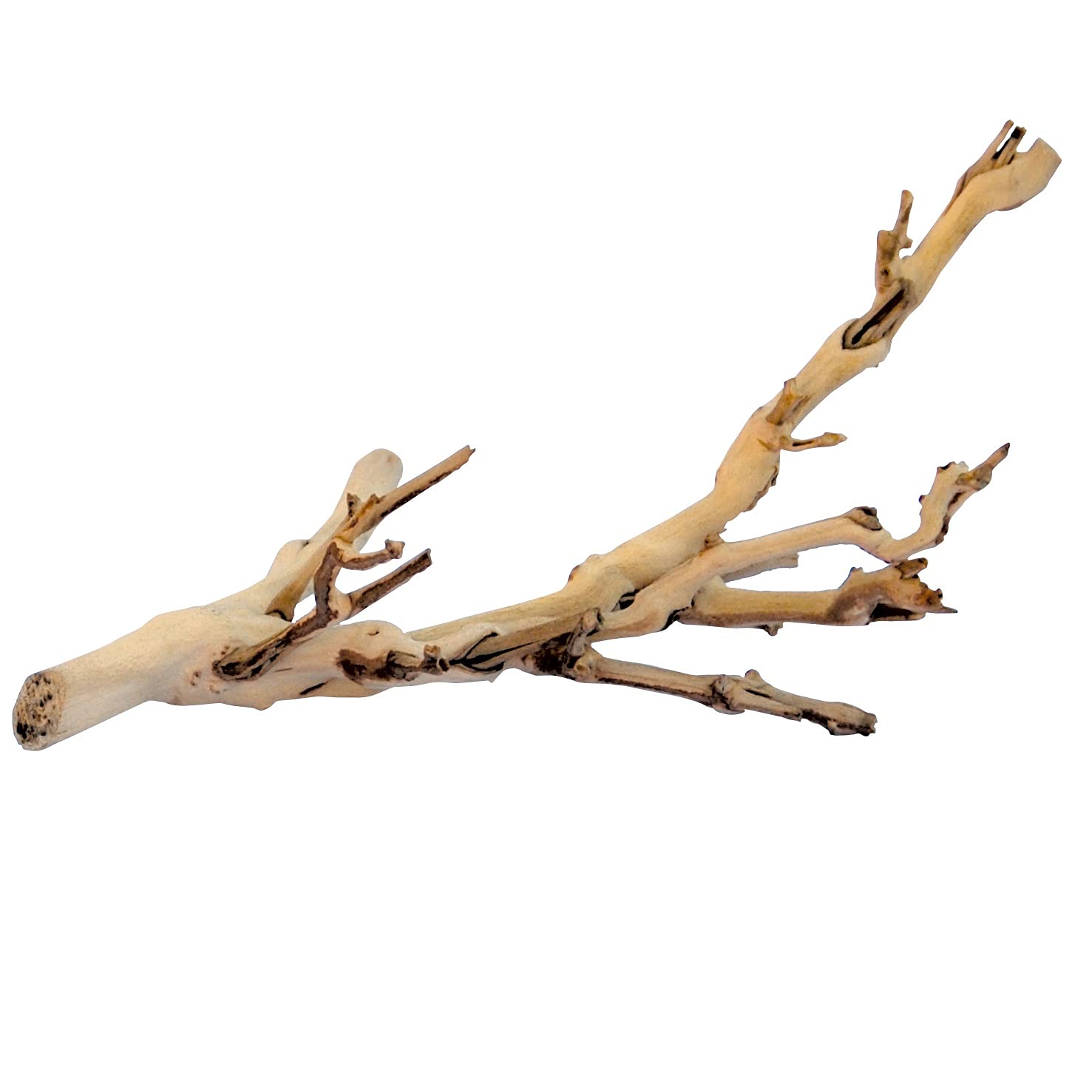 Exo Terra Forest Branch - Natural Wood Decor for 3D Terrarium Environments | Small 3