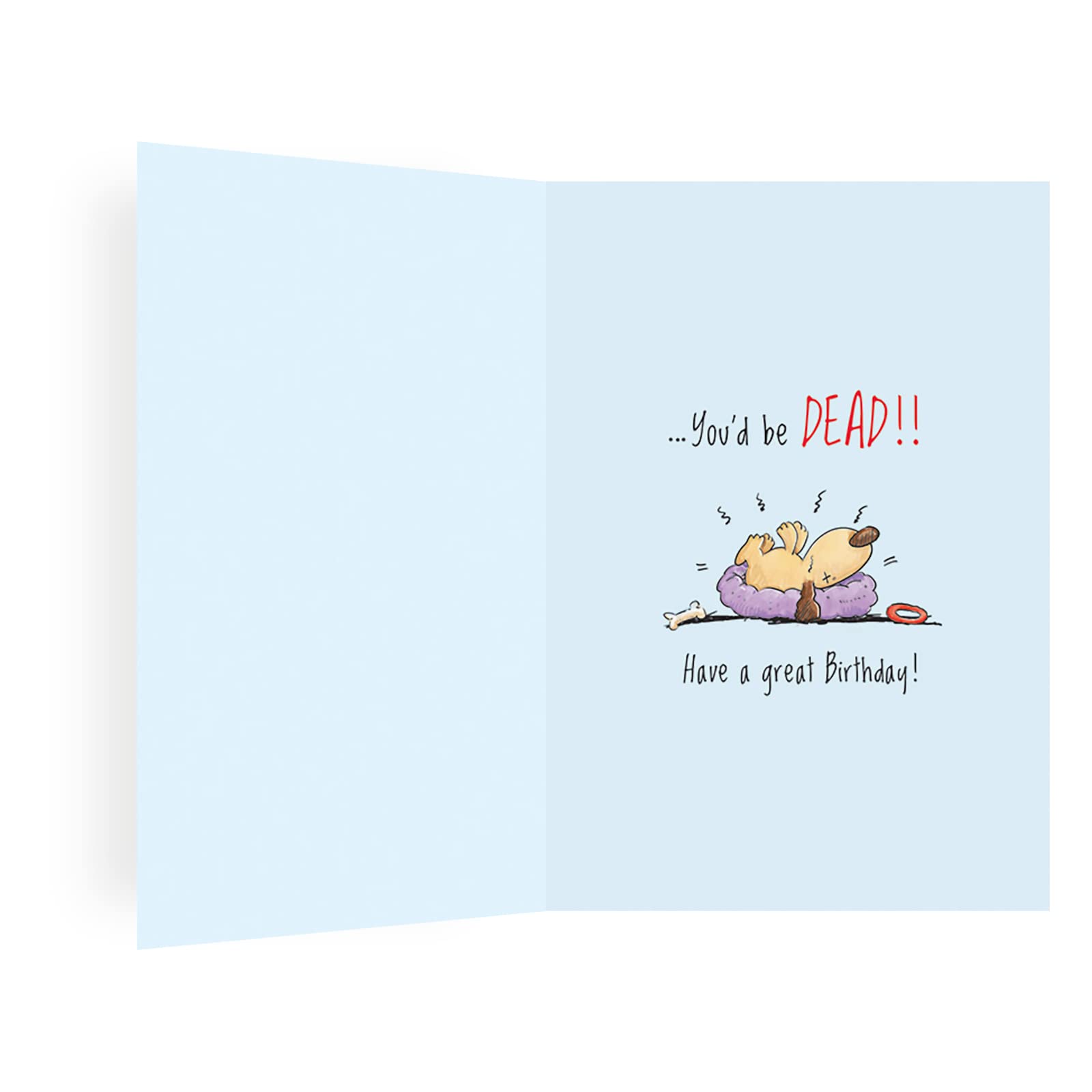 Regal Publishing Humour Birthday Card - Old in Dog Years | 7 x 5 Inches | Light Blue 2