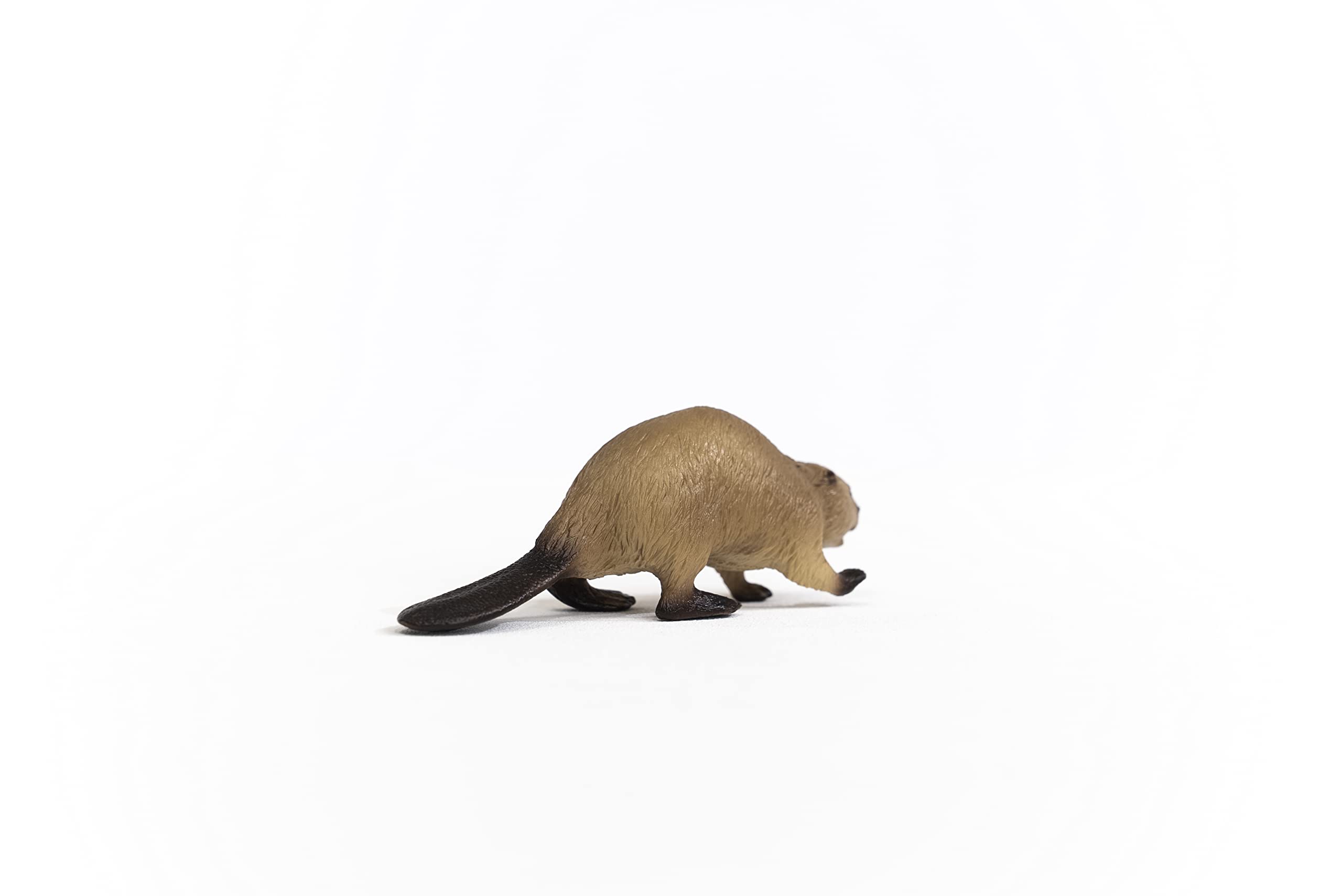 Schleich 14855 Beaver - Wildlife Animal Figure for Kids 3+ 10