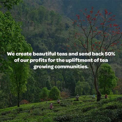 Tea People Organic English Breakfast, Loose Leaf Black Tea in Tin Caddy 6