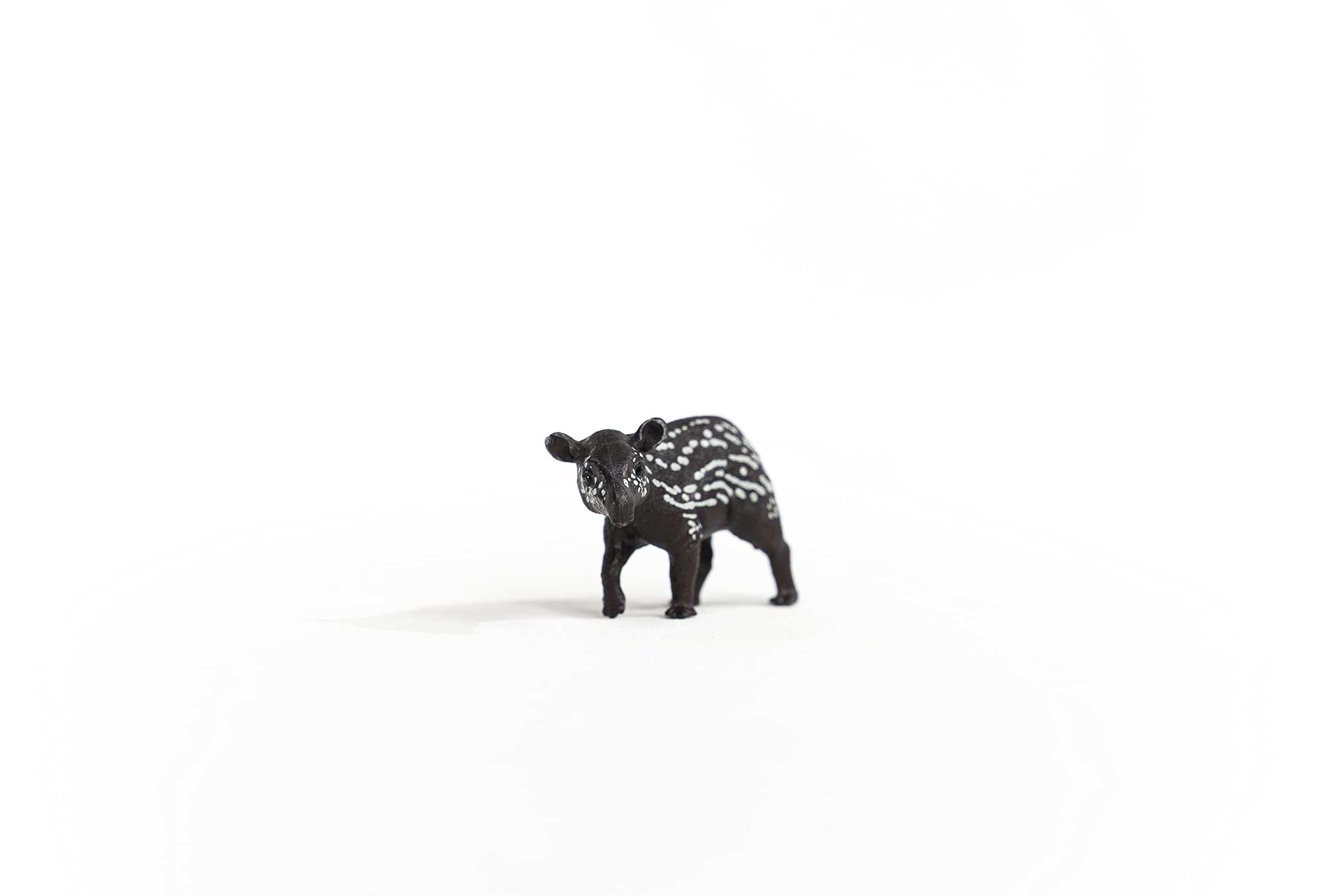 SCHLEICH Tapir Baby Wildlife Figurine - Realistic Animal Play Figure for Kids 8
