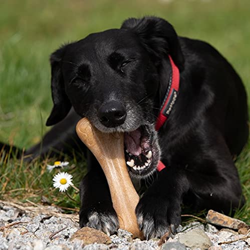 Petface Planet Wood Chew Eco Friendly Dog Bone Toy - Durable for Large Breeds | Unscented 4