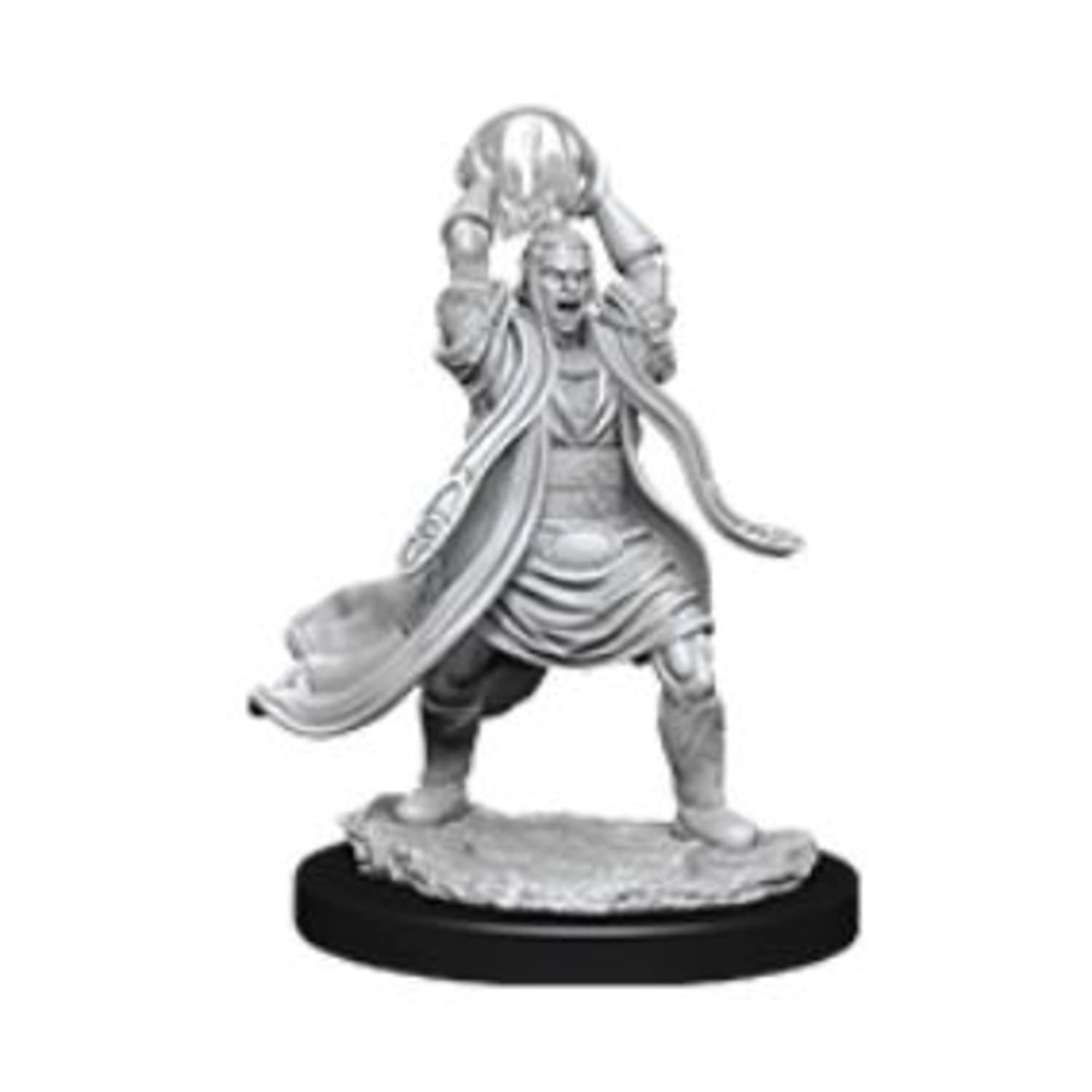Dungeons & Dragons WizKids Unpainted Miniatures - Male Elf Sorcerer | Cardboard | Medium 1