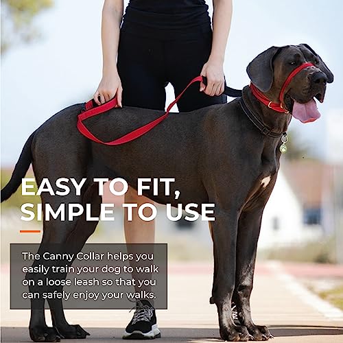 Canny Collar - The Collar For Dog Training And Walking, Head Collar For Dog Walking - Black (Size 4) (02-1005)