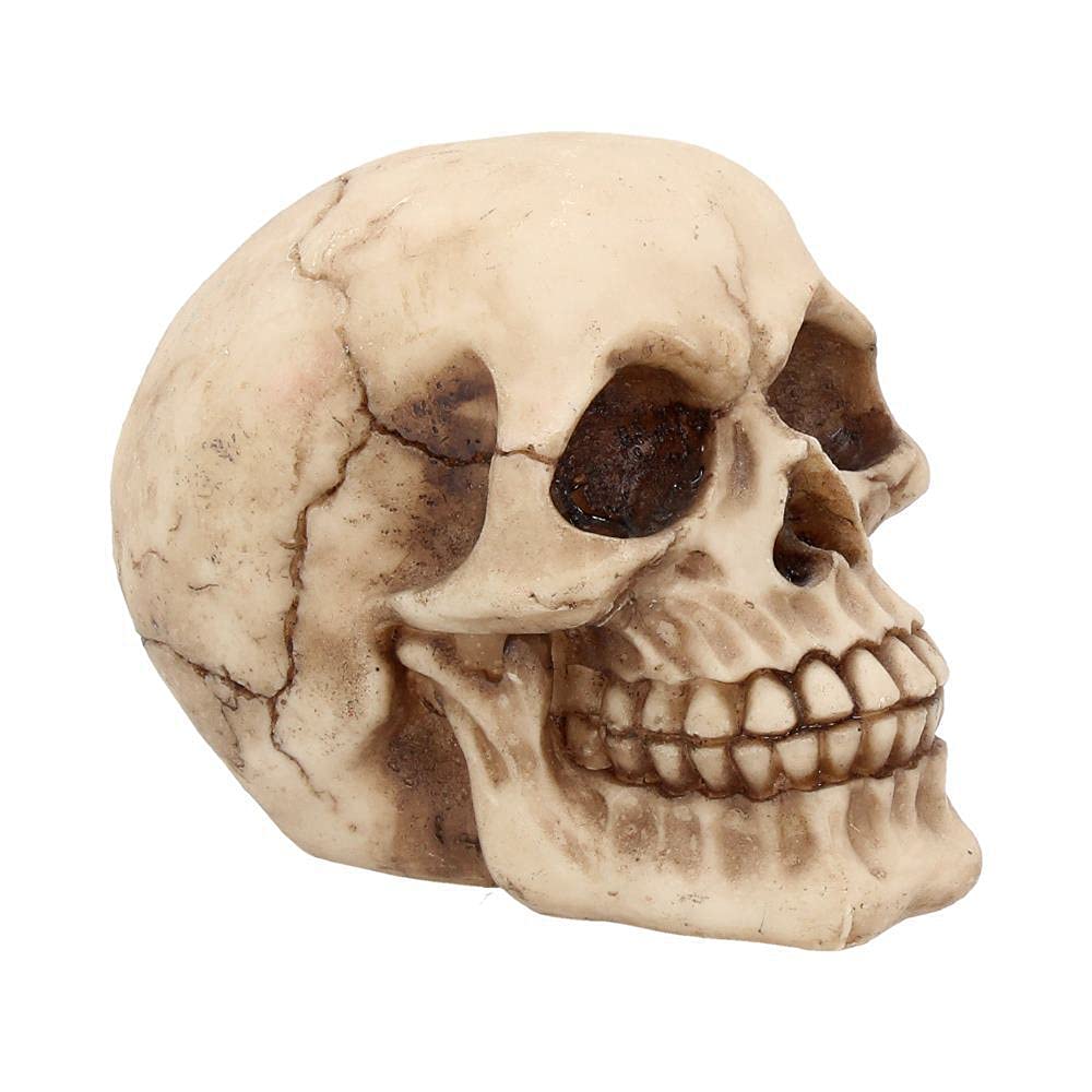Nemesis Now Joker Skull Decorative Ornament - Resin, Ivory, 12 cm