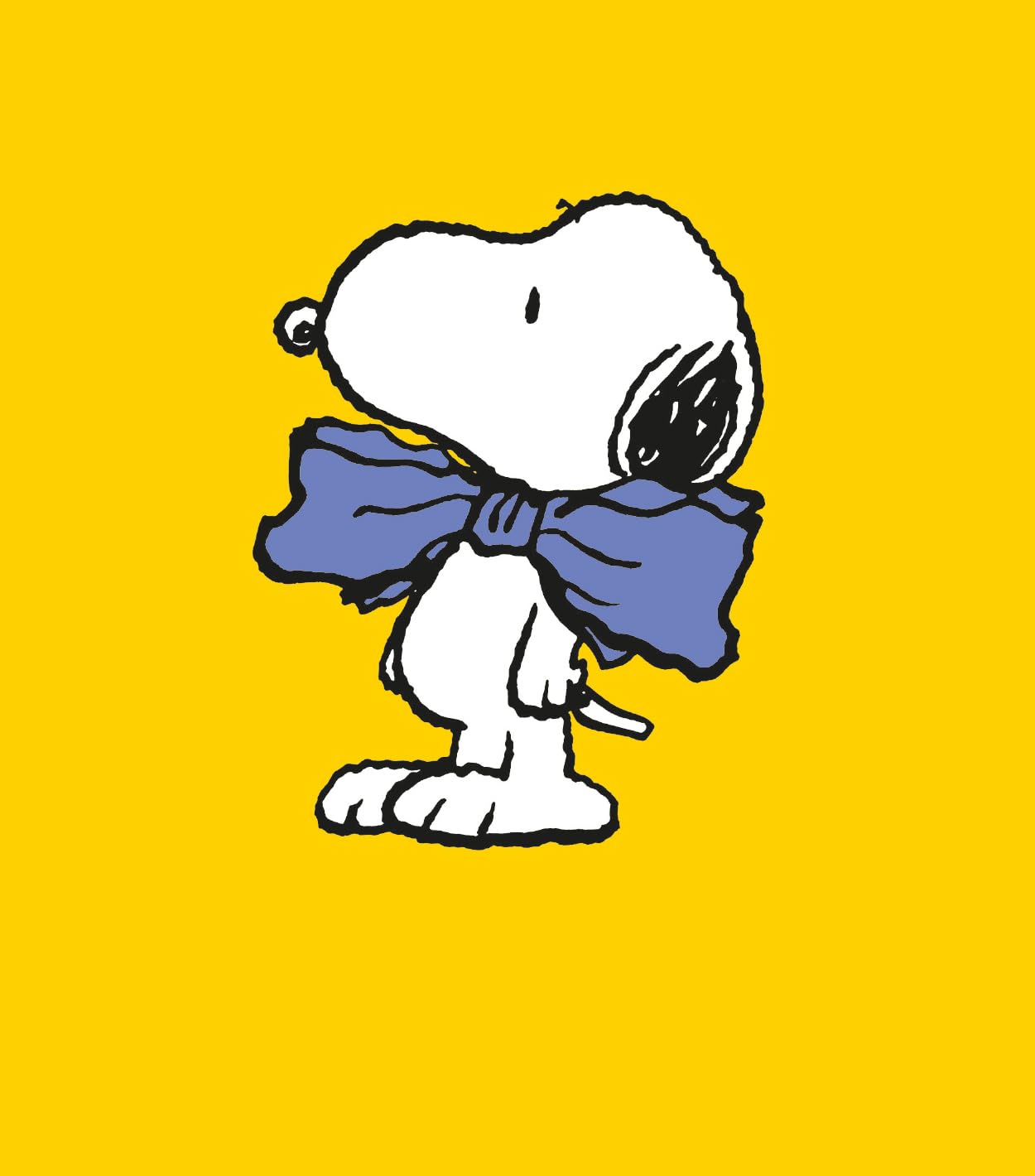 Danilo Promotions LTD Peanuts Blank Greeting Card - Snoopy & Charlie Brown Official Design | Standard Size