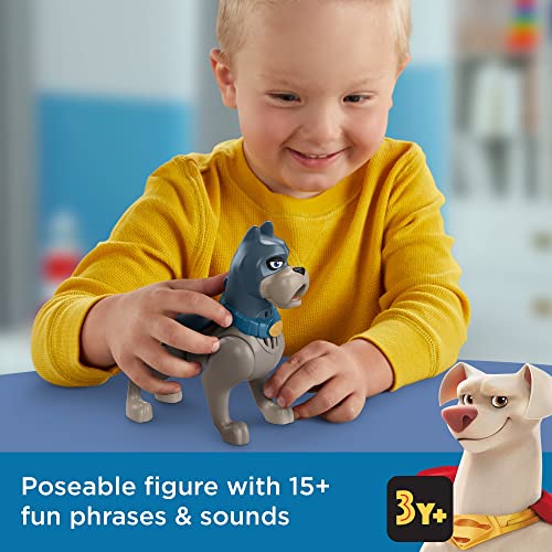 Fisher-Price DC League of Super-Pets Talking Ace-Figur