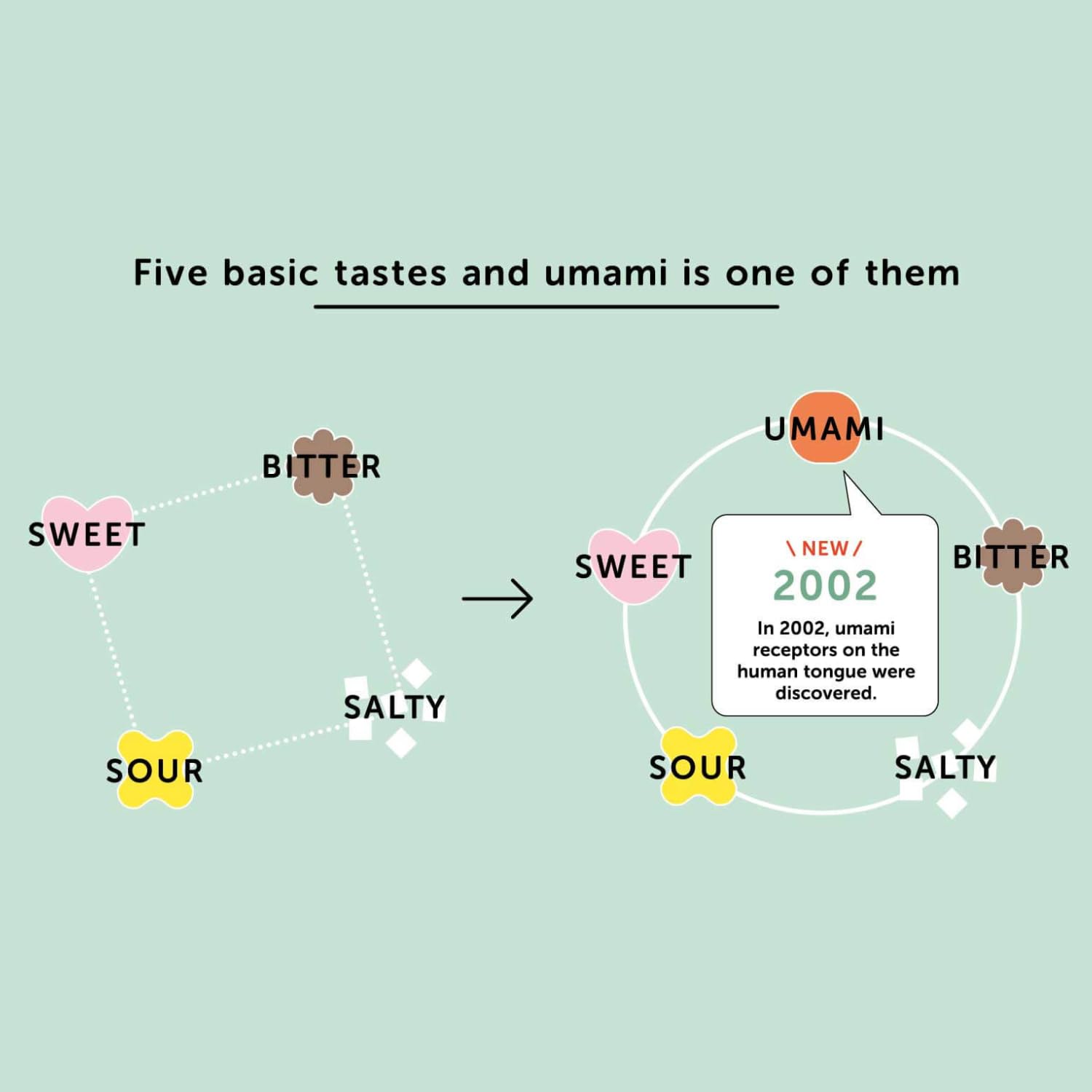 Ajinomoto Monosodium Glutamate, 454 g 7