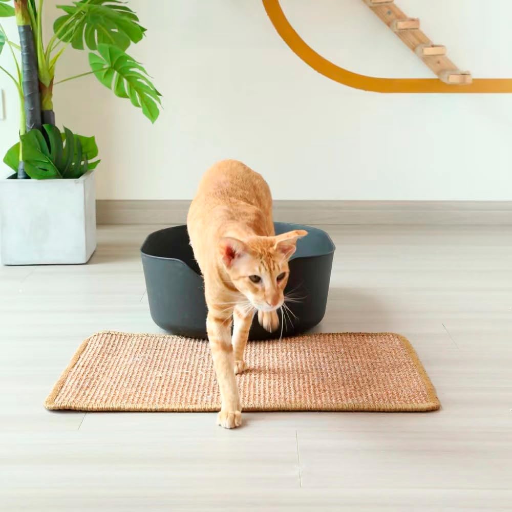 RAM ONLINE Sisal Cat Scratch Mat - 60cm x 50cm | Anti-Slip Base | Protects Furniture 2