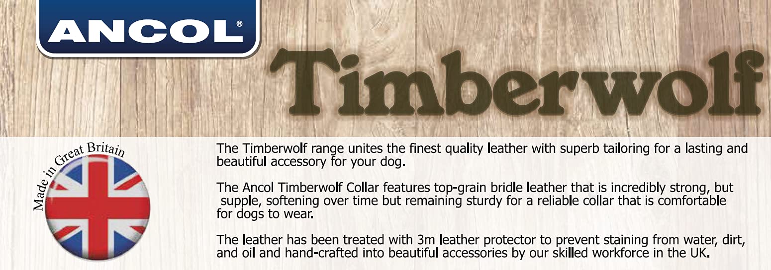 Ancol Timberwolf Leather Dog Collar - Blue | Size 3 (28-36 cm Neck) | 1.6 cm Width