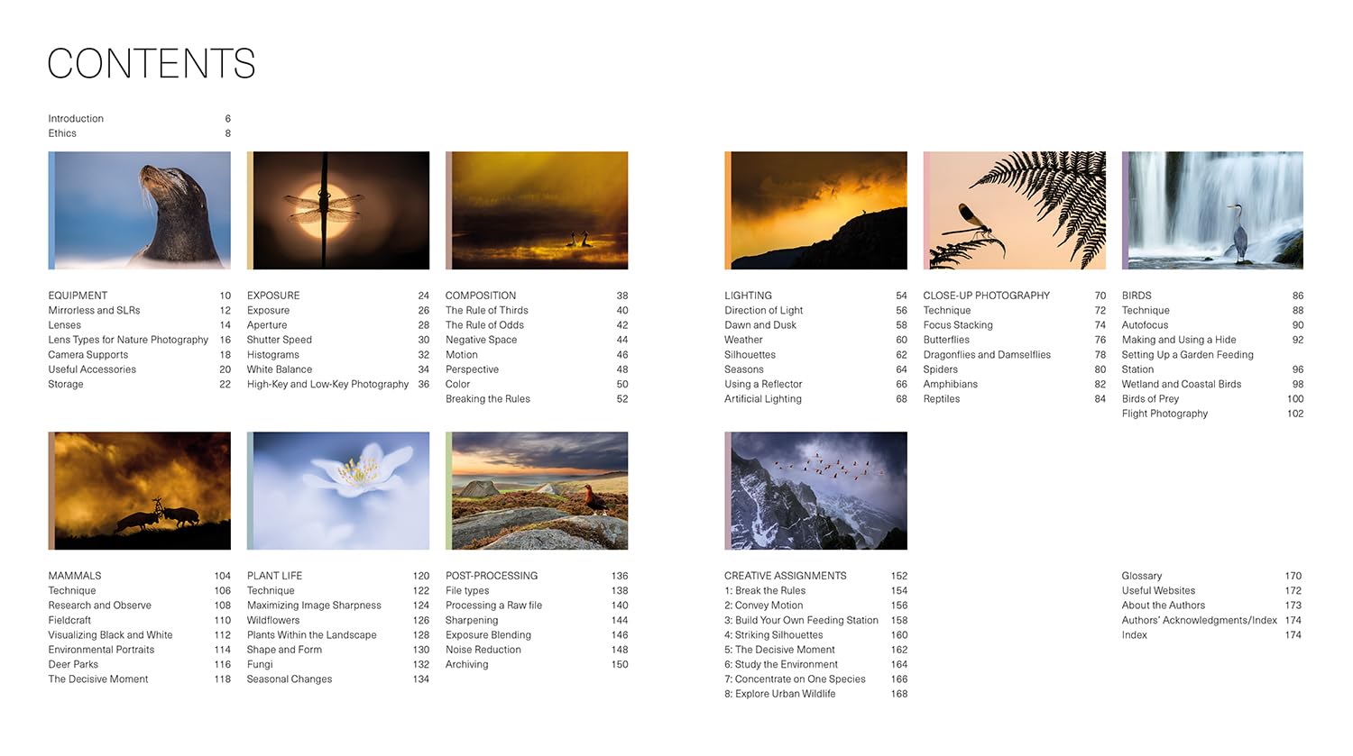 Ammonite Press The Wildlife Photography Workshop - Updated Edition | Paperback | English