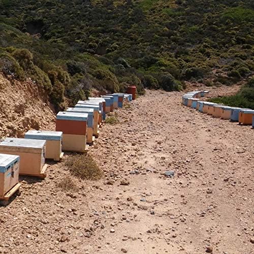 The Greek Kitchen - Orange Blossom Honey Unheated & Unpasteurised 250g 3