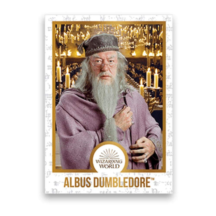 Jelly Belly Harry Potter Chocolate Frog with Collectible Wizard Card 15g