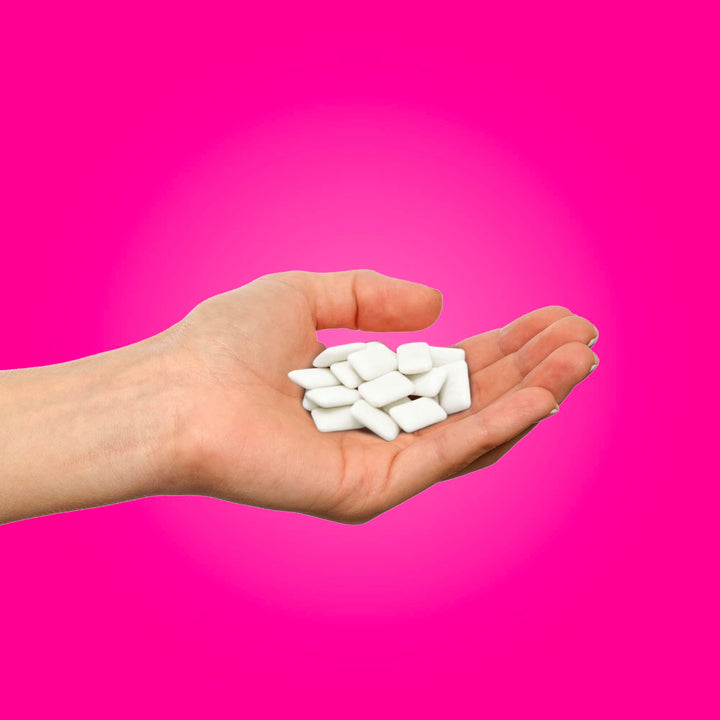 PUR - Pomegranate Mint Sugar-Free Chewing Gum (55 Pieces)