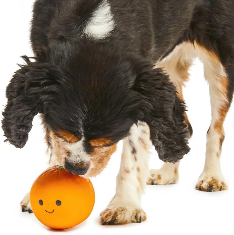 Petface Large Soft Latex Chew Dog Toy - Orange | Built-in Squeaker | Portable