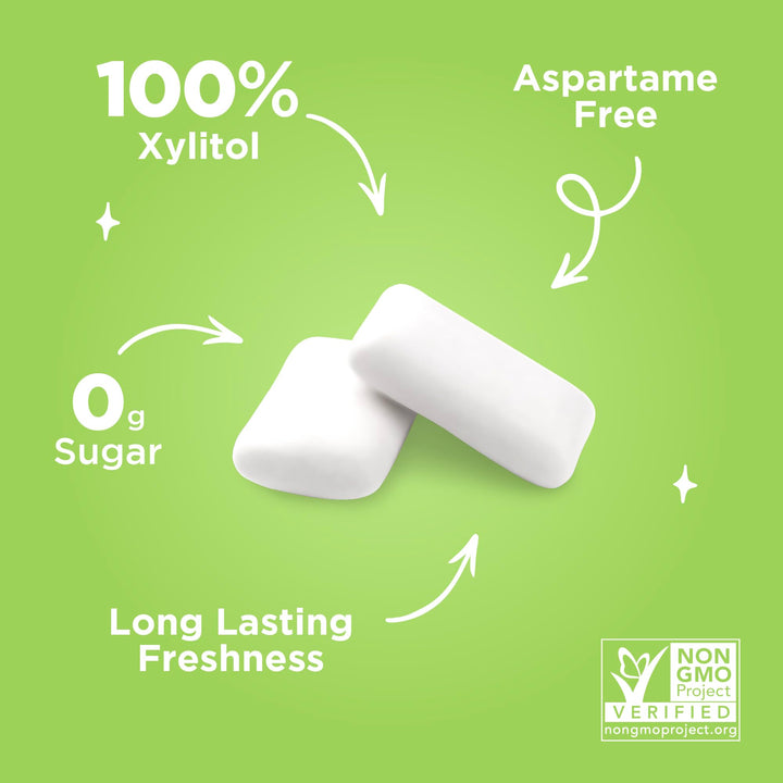 PUR Gum - Natural Coolmint Sugar-Free Chewing Gum (55 Pieces, Pack of 3)