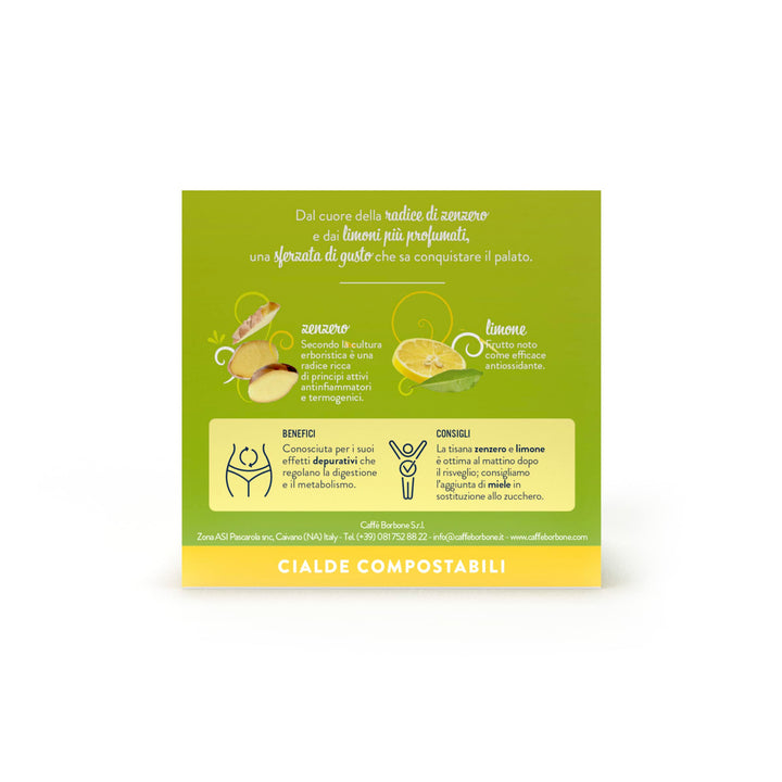 Caffè Borbone Ginger and Lemon Infusion - 72 Pods (4 Packs of 18) - ESE Compatible