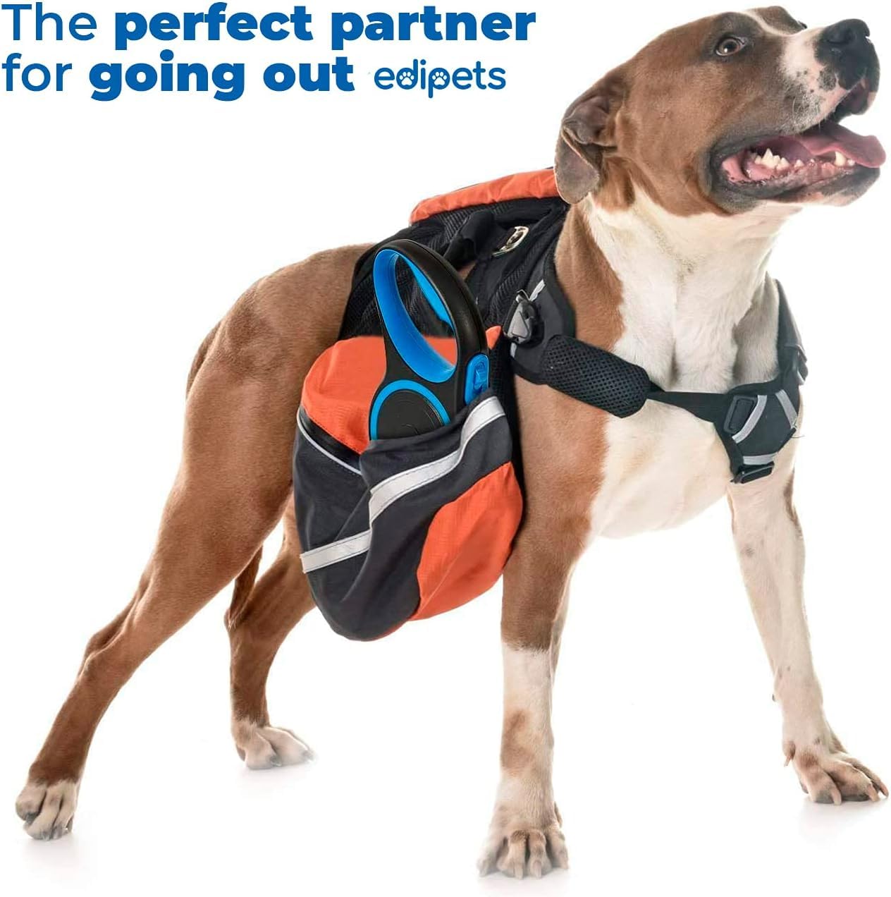 Edipets Extendable Dog Leash - Retractable Nylon Lead | 8 Metres | Blue 5
