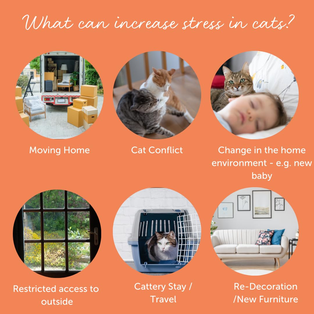 Feliway Cystease - For Stress-Related Bladder Problems in Cats | 300 Capsules 6