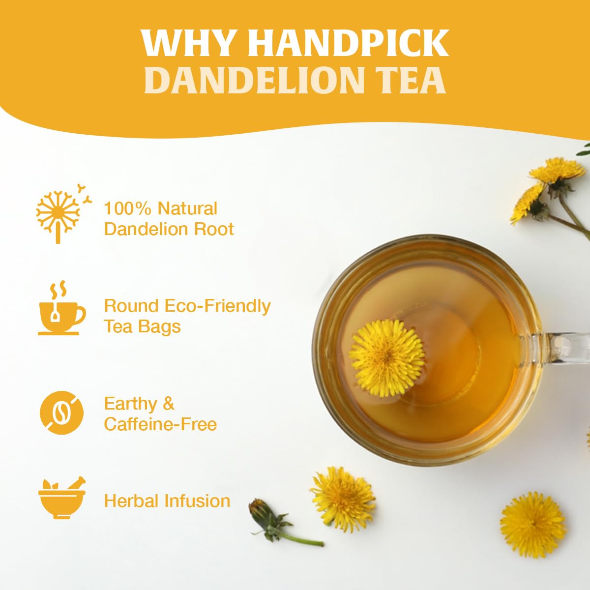 HANDPICK Dandelion Root & Leaf Tea Bags (100 Herbal Tea Bags) Caffeine-Free 3