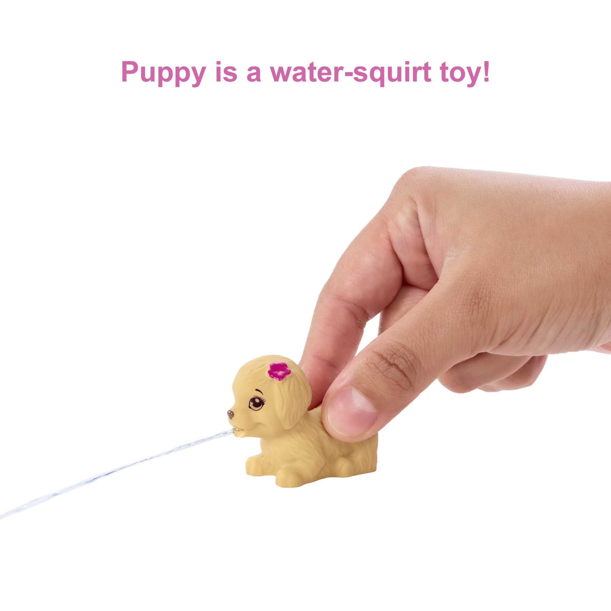 Barbie Skipper Doll and Waterpark Playset with Working Water Slide, Puppy Squirt-Toy, 5+ Accessories | Ages 3+ | HKD80 5