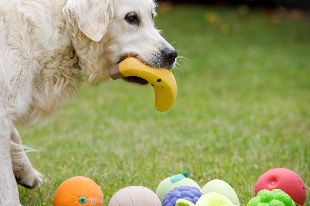 Petface Latex Pear Soft Chew Dog Toy - Large Size, Durable, Squeaky | Natural Rubber 7
