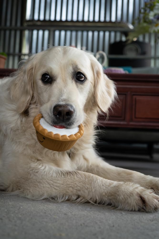 Petface Cherry Bakewell Latex Dog Toy with Built-In Squeaker | Durable Chew Toy for All Breeds 4