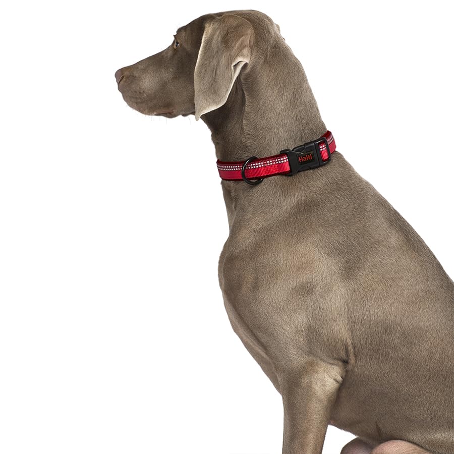 Halti Collar - Small Size Black | Reflective 3M Scotchlite | Neoprene-Padded Nylon 3