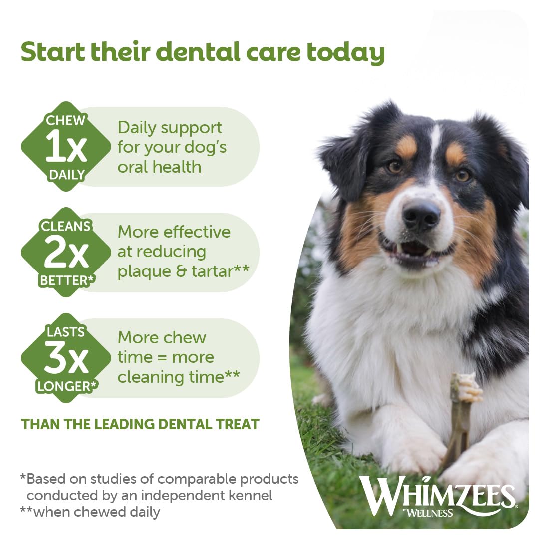 WHIMZEES Natural Grain Free Dog Dental Sticks for Small Breeds | Reduces Plaque by 80% | Vegetable Flavor 6