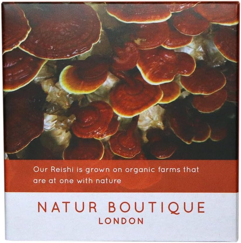 Natur Boutique Reishi Tea Sachets - 20 Count Herbal Tea with Reishi Mushroom, Star Anise, Licorice & Peppermint