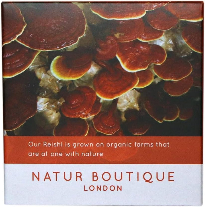 Natur Boutique Reishi Tea Sachets - 20 Count Herbal Tea with Reishi Mushroom, Star Anise, Licorice & Peppermint