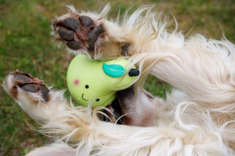 Petface Latex Pear Soft Chew Dog Toy - Large Size, Durable, Squeaky | Natural Rubber