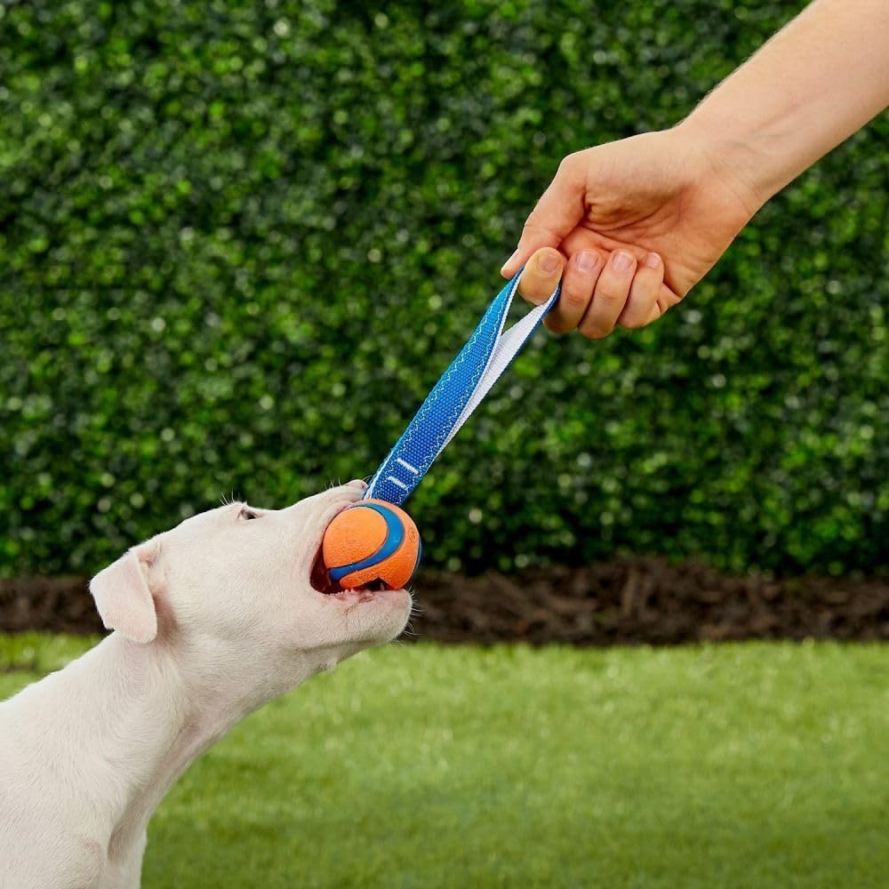 Chuckit! Ultra Tug Dog Toy - Durable Rubber for Tug of War | High Bounce | Small Size 4