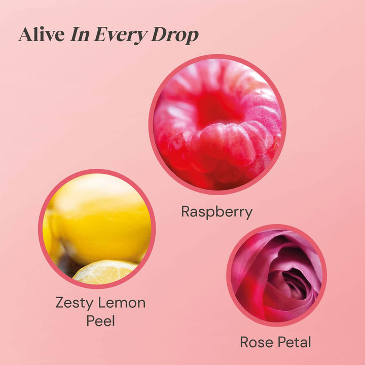 Twinings Raspberry & Lemon Infusion Tea Bags with Rose Petals, 20 Count