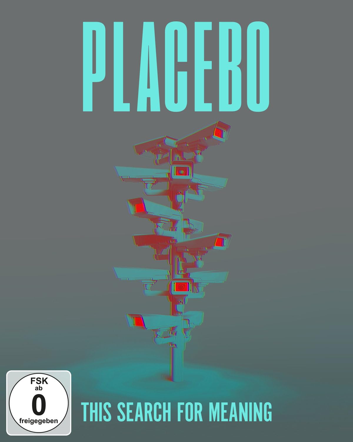 This Search For Meaning - Placebo Documentary [Blu-ray & DVD] 1