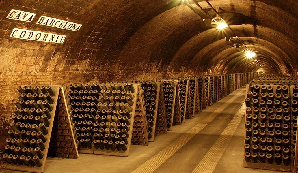 Codorníu Clásico Brut Cava - White Sparkling Wine (75cl)