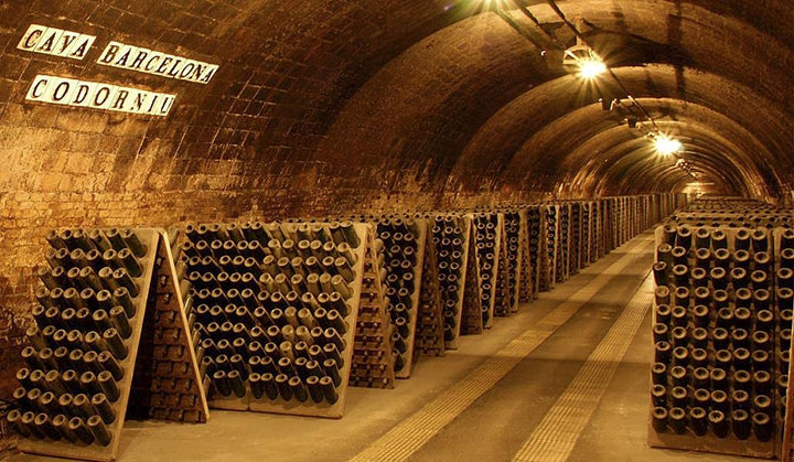 Codorníu Clásico Brut Cava - White Sparkling Wine (75cl)