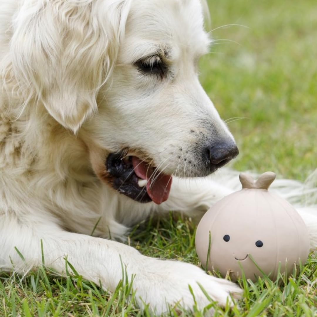Petface Latex Onion Soft Chew Dog Toy - Large Size | Durable Natural Rubber